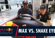 Макс Ферстаппен играет с профессионалом