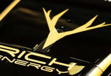 В Rich Energy не опасаются претензий из-за логотипа Rich Energy logo, Haas F1 Team