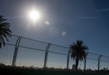 Австралия-2019: Прогноз погоды на гонку Australian Grand Prix