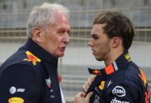 Вильнёв: «Возвращение Гасли в Toro Rosso никого не удивит» Helmut Marko, Pierre Gasly