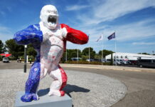 Франция-2019: Прогноз погоды на гонку French Grand Prix