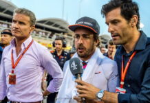 Култхард считает, что у Алонсо нет шансов вернуться в Ф1 David Coulthard, Fernando Alonso, Mark Webber