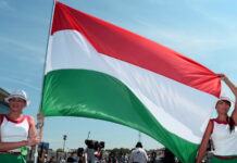 Исполнение гимна в Венгрии пройдёт на пит-лейн hungarian flag, hungaroring