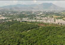 Бразильцы против трассы в Рио-де-Жанейро Floresta do Camboatа, Brazilian