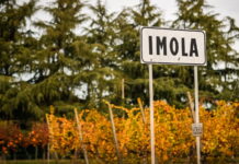 В Имоле надеются увидеть болельщиков Emilia Romagna Grand Prix, Imola