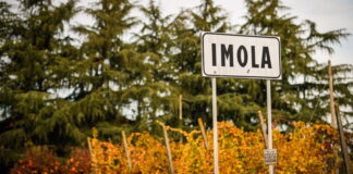 В Имоле готовы принять гонку в случае необходимости Emilia Romagna Grand Prix, Imola