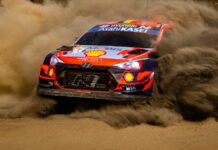 Новыми проблемами на Ралли Сафари стали зебры и дождь Thierry Neuville