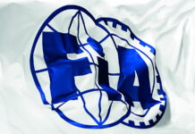 Решение Всемирного Совета FIA по автоспорту FIA flag
