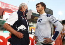 Хельмут Марко: Мы не хотим потерять Гасли Helmut Marko, Pierre Gasly