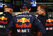 Ферстаппен: Вы не увидите меня руководителем команды Adrian Newey, Max Verstappen, Christian Horner