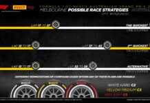 В Pirelli ждут одного или двух пит-стопов Strategies