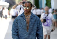Мартин Брандл о Хэмилтоне и форме Mercedes Lewis Hamilton