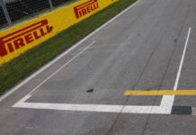 Сингапур-2025: Стартовое поле Starting grid, Pole position, Canadian GP