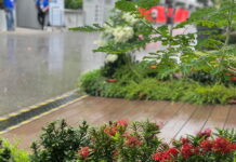 Днём в Сингапуре прошёл сильный дождь Singapore Grand Prix, Marina Bay Street Circuit