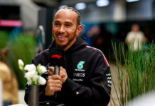 Кристиан Хорнер: Хэмилтон принял смелое решение Lewis Hamilton