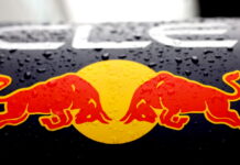 Новая машина Red Bull прошла краш-тесты FIA Red Bull