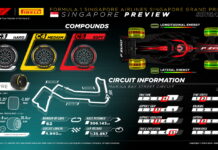 Факторы неопределённости – новый асфальт и 4-я зона DRS Pirelli Preview