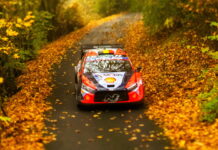 Невилль увеличивает отрыв от Ожье в борьбе за чемпионский титул Thierry Neuville