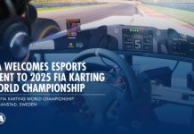 FIA впервые объединит реальные гонки с виртуальными FIA karting