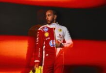 Брандл: Льюису нужна команда, которая его понимает Lewis Hamilton