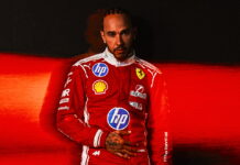 Херберт считает, что Хэмилтону по силам выиграть титул Lewis Hamilton