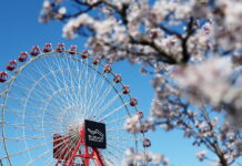 Япония-2026: Предварительный прогноз погоды Japanese Grand Prix, Suzuka