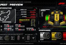 В Pirelli назвали факторы, влияющие на шины в Венгрии Pirelli Preview